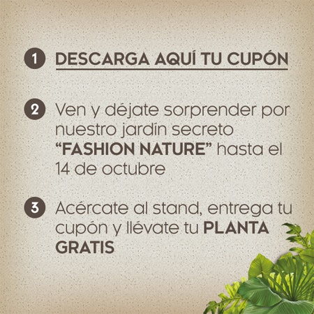 Planta gratis Fashion Nature