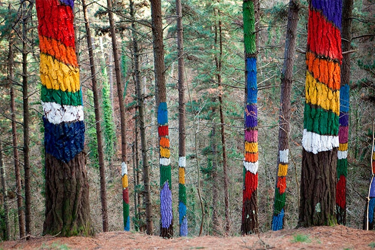 el bosque de oma