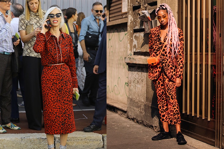 animal-print