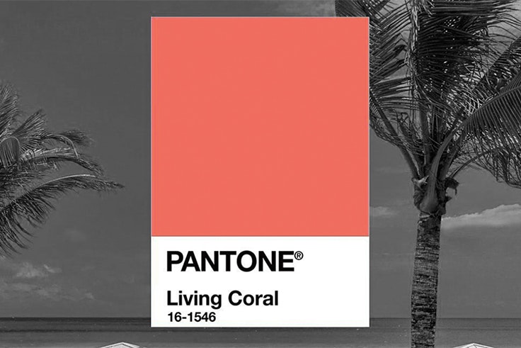 colorpantone2019
