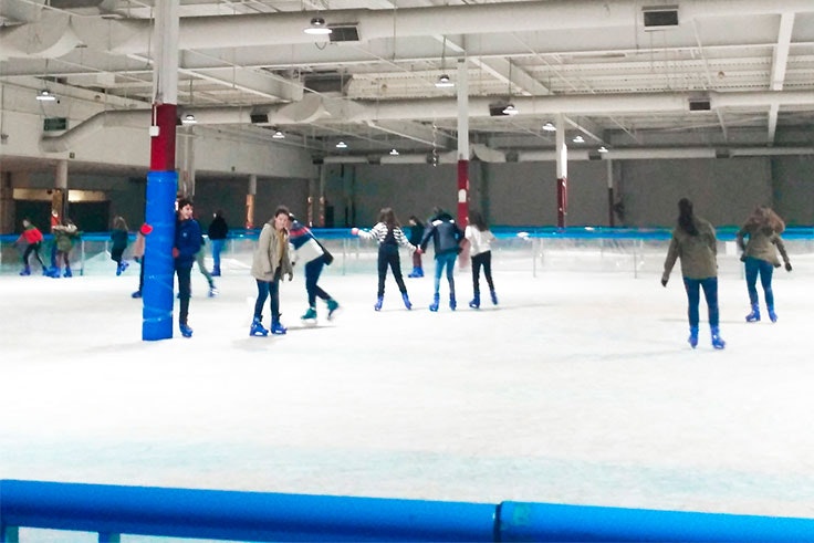 Invernalia-Icepark-en-Max-Center