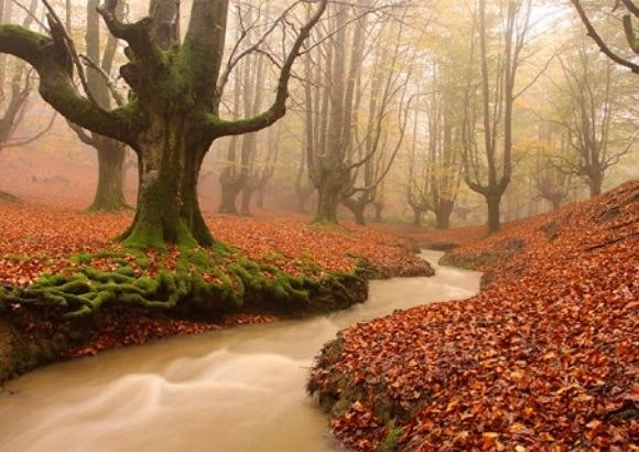 Visitamos el bosque mágico de Oztarreta