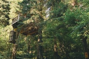 Sorteo de una noche en una cabaña en el bosque