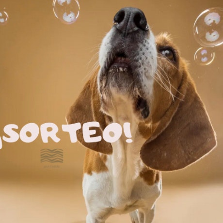 Nuevo sorteo en Max Center: ¡Gana una sesión de fotos con tu perro!