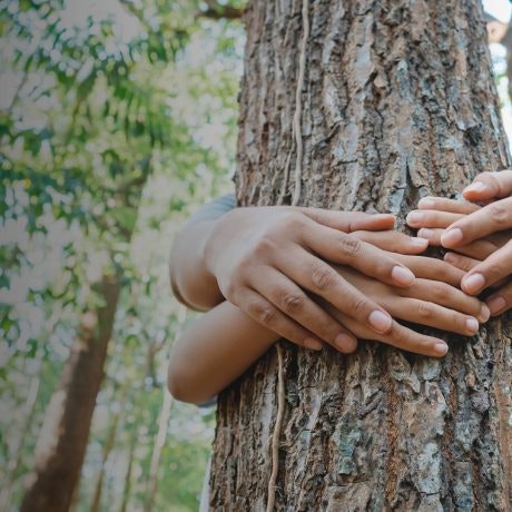 Día mundial del medio ambiente