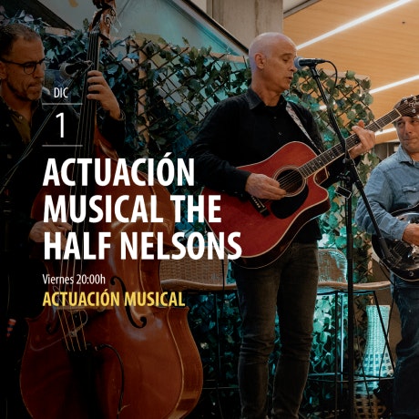 Actuación Musical The Half Nelsons