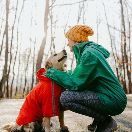 Dicas para cuidar de animais durante o inverno