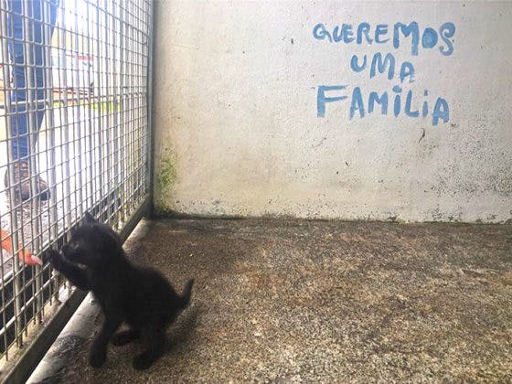 pelo-combate-pobreza