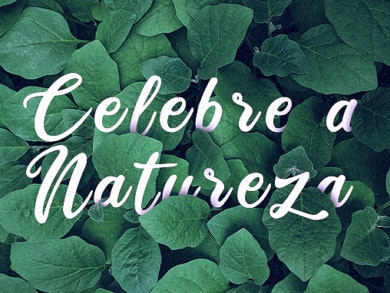 Dia Mundial da Árvore: três passos para proteger a floresta