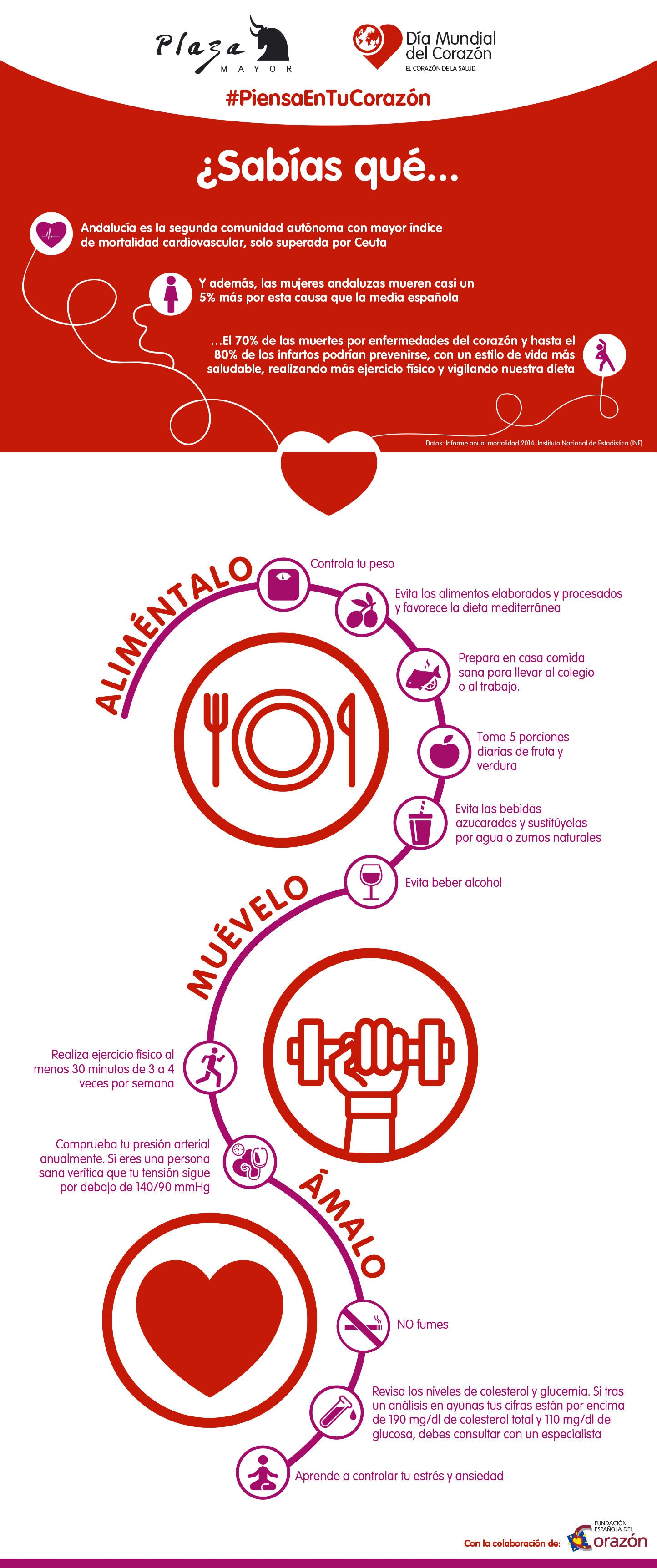 Infografia-SonaeSierra-PlazaMayor 2 RED