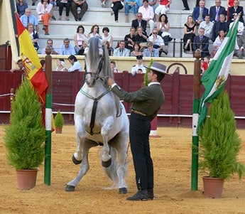 Festival de Verano