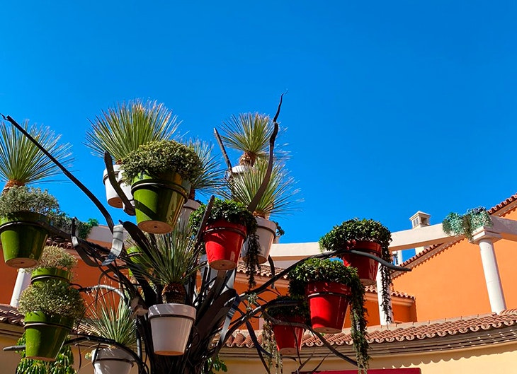 Comer en Plaza Mayor, una experiencia para tus sentidos