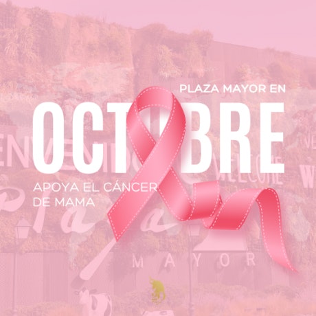 19 de octubre: Día internacional contra el cáncer de mama