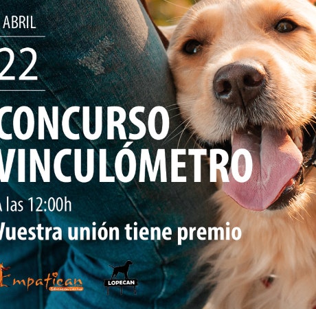 ¡Únete al evento canino que tendrá lugar el día 22 de abril en Plaza Mayor!
