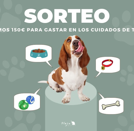 ¡Nuevo SORTEO para tu mascota en Plaza Mayor!