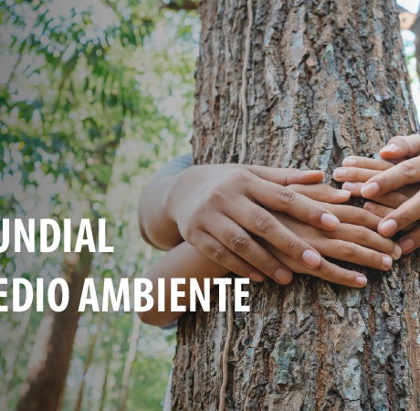 Día Mundial del Medio Ambiente 2023