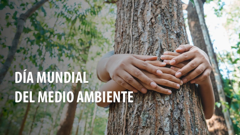 Día Mundial del Medio Ambiente