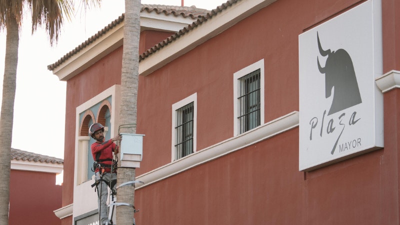 instalación de refugios para murciélagos