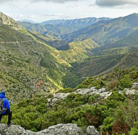 Los mejores bosques de Málaga para disfrutar del otoño