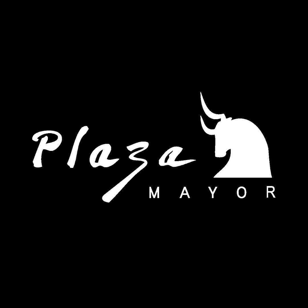 Centro Comercial Plaza Mayor