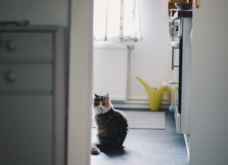 4 consejos para decorar un piso pequeño