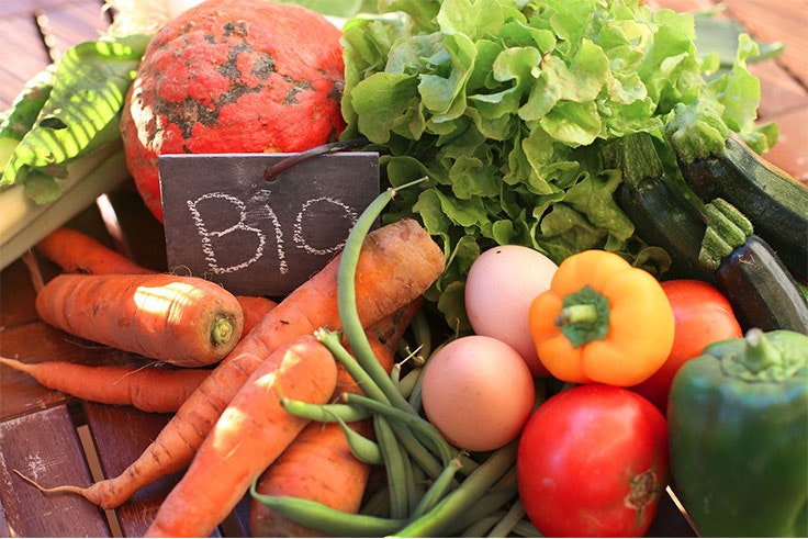 Llevar una buena alimentación ayuda en el cambio de hora.