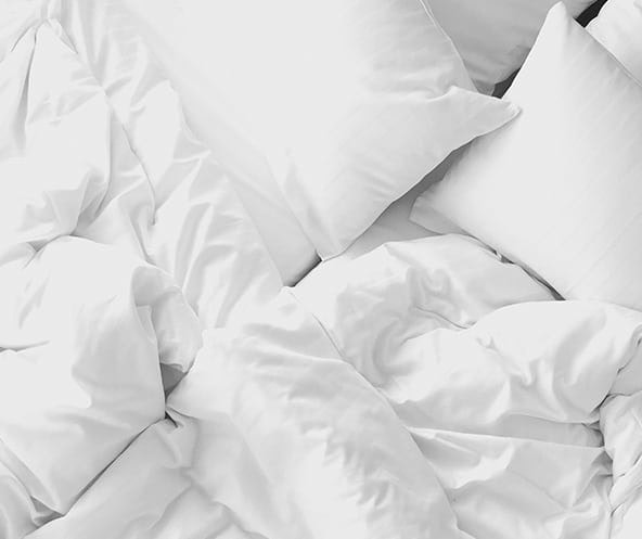 bedland-foto.jpg