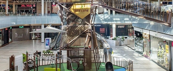 Bird Land