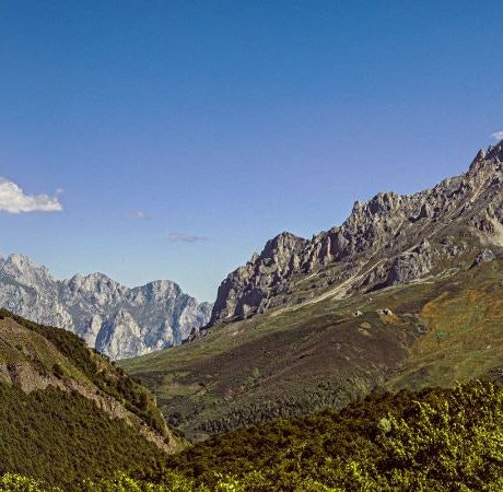 Los bosques nos necesitan, 21 de marzo Día Internacional de los Bosques