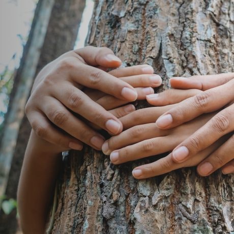 Conexión Natural: Un Mes de Compromiso y Diversión Sostenible