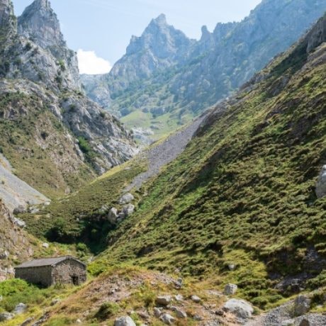 El homenaje especial de Google a los Picos de Europa