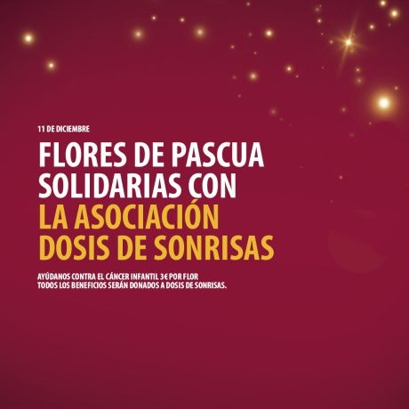 Regala Sonrisas: Flores de Pascua Solidarias