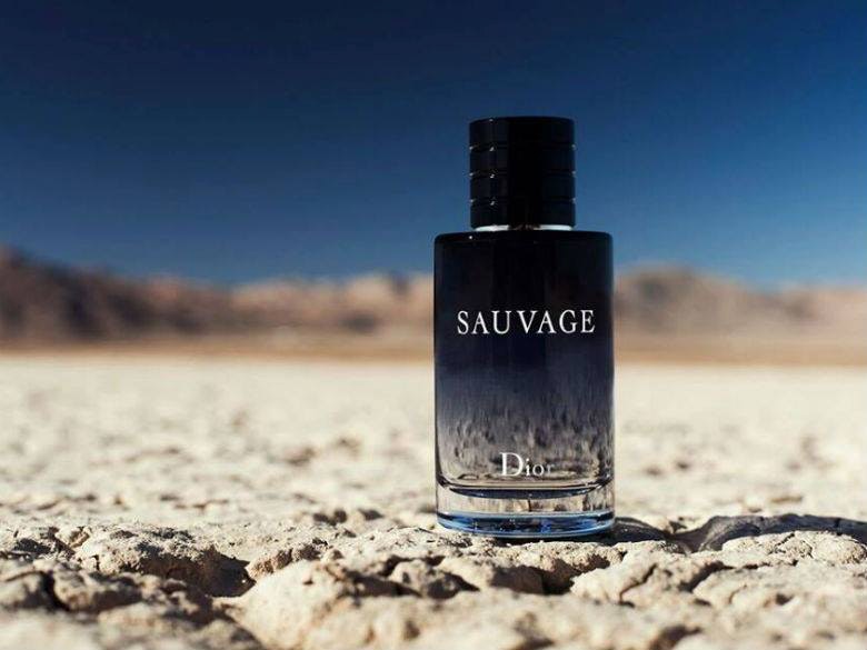 12921167_873037456141203_1151018524_n