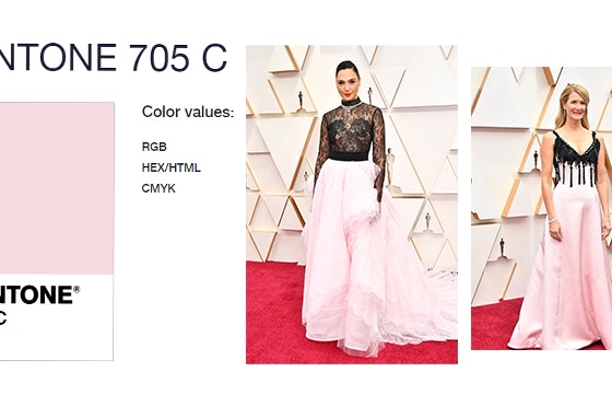 looks-dos-oscares-2020