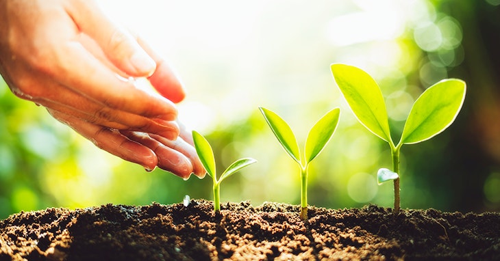 Dê outra vida aos seus resíduos orgânicos e mais vida ao ambiente!