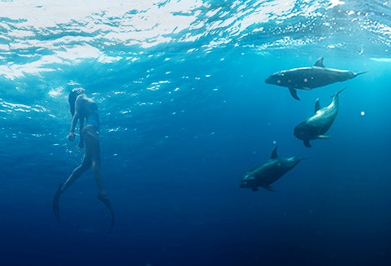 Dia Mundial dos Oceanos