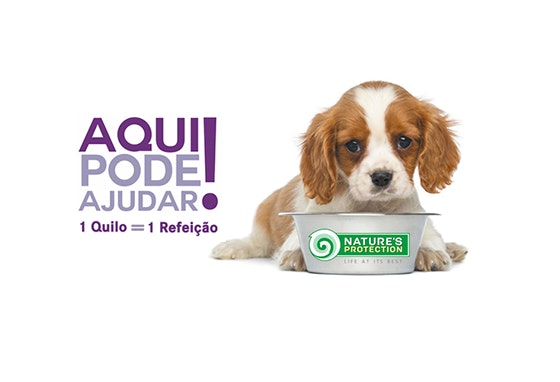 Ornimundo doará 100 gramas de alimentação, equivalente a uma refeição, às associações protetoras de animais