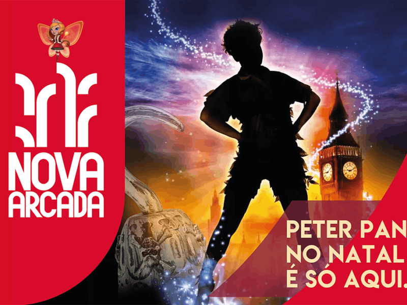 Bandeira Peter Pan Nova Arcada PROVA