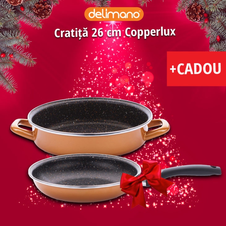 DL_Xmascopperlux-round-mould_1200x1200-FB