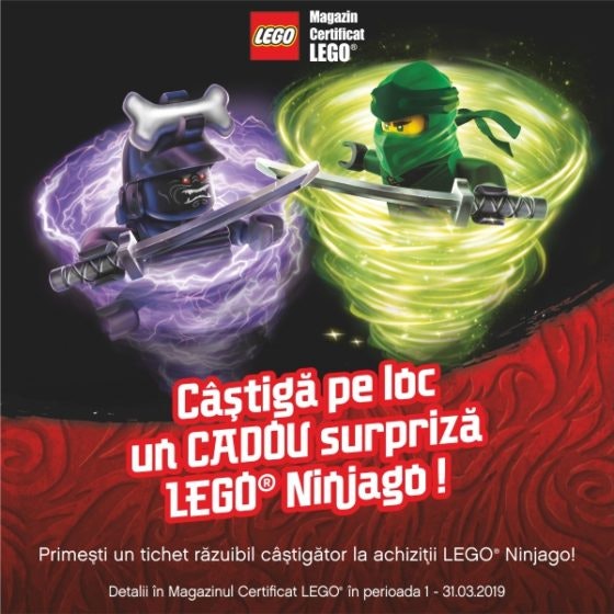 LEGO Brick 600x600px PKL NGO