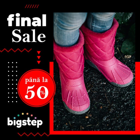 1200x1200-logo-bigstep