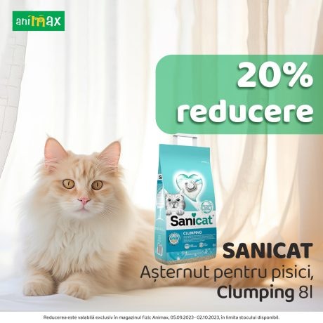 🐈 Curat și îngrijit, așa cum îi place mustăcioasei!