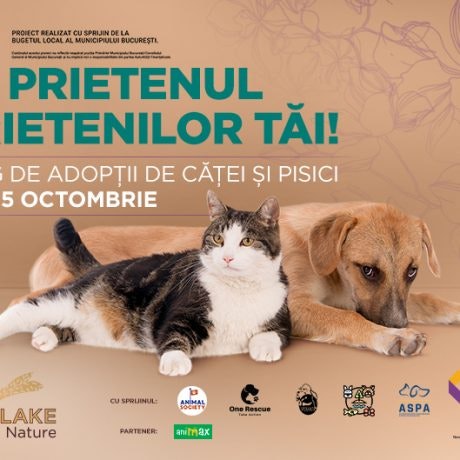 Târg de adopții de căței și pisici în ParkLake