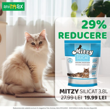 Mustăcioasele alintate își doresc litiere curate și igienizate. 🐈