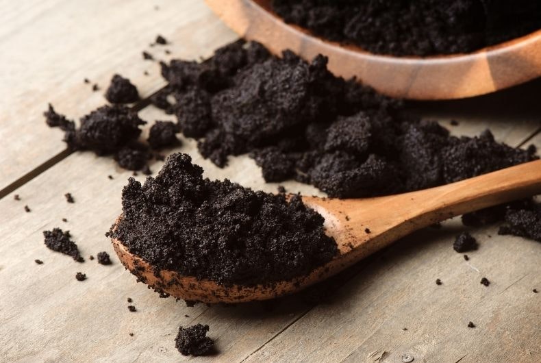 Los mejores trucos caseros para cuidar tus plantas