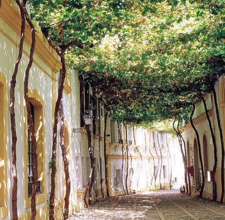 La Calle Ciegos de Jerez es una de las más bonitas del mundo