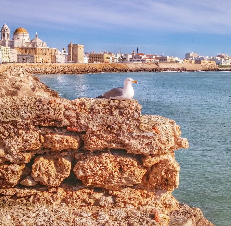 Las mejores playas de Cádiz para este verano 2023