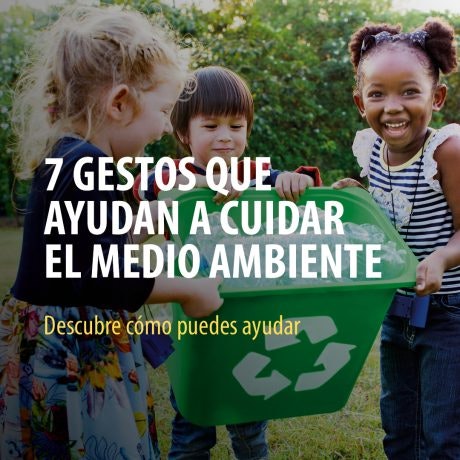 7 gestos que ayudan a cuidar del medio ambiente