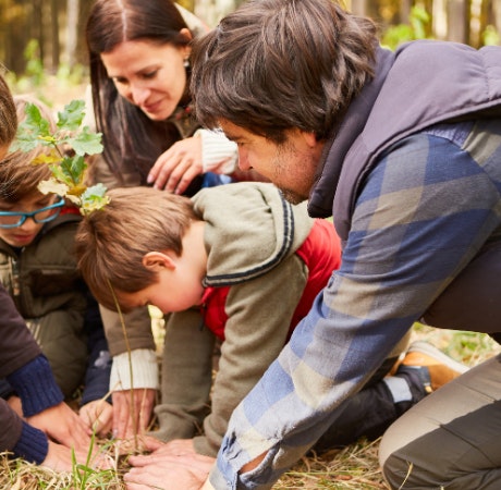 Hoy es el Día Mundial de la Educación Ambiental