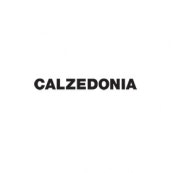 calzedonia-280x280.png